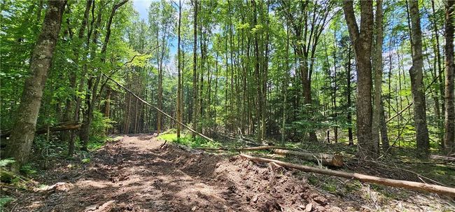 Lot 81.4 County Road 114, Home with 0 bedrooms, 0 bathrooms and null parking in Cochecton NY | Image 6