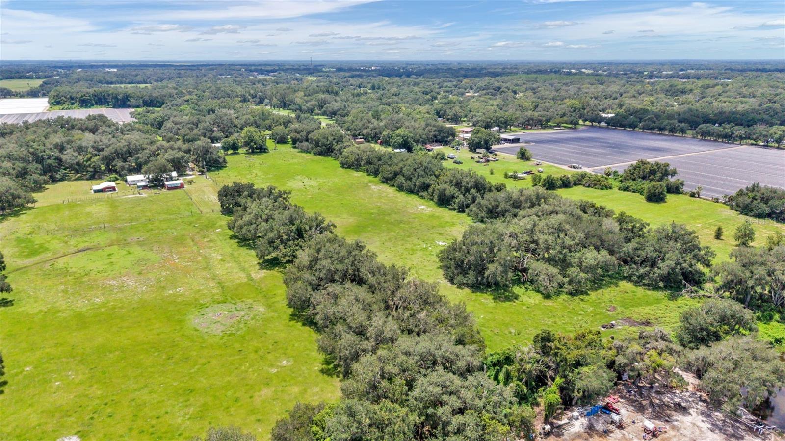 Land in TAMPA 5