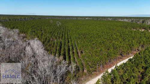 29 AC Owens Road, Odum, GA, 31555 | Card Image