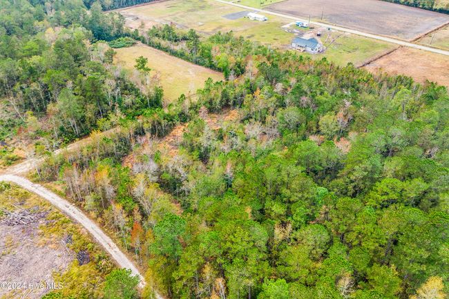 Near 169 Lizzies Drive, Home with 0 bedrooms, 0 bathrooms and null parking in Bolton NC | Image 4