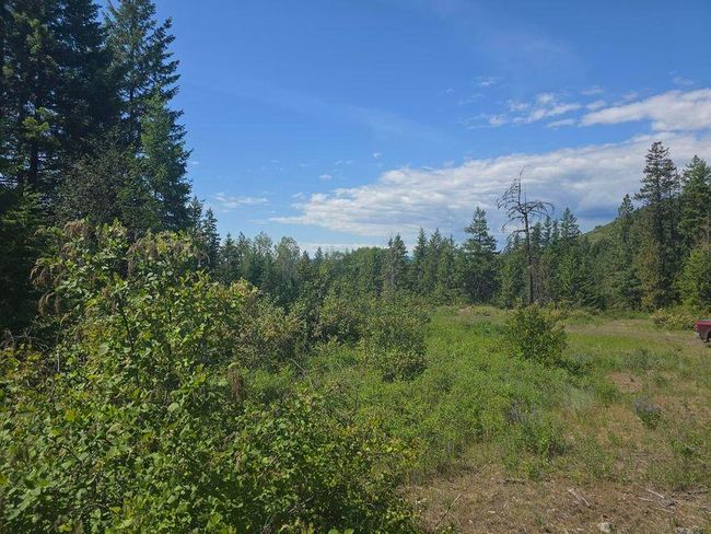 3715 Hill Loop Rd, Home with 0 bedrooms, 0 bathrooms and null parking in Kettle Falls WA | Image 15