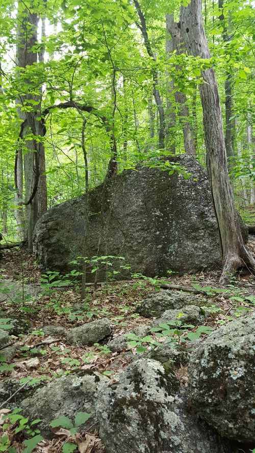 0 Masons Knob Rd, Boones Mill, VA, 24065 | Card Image