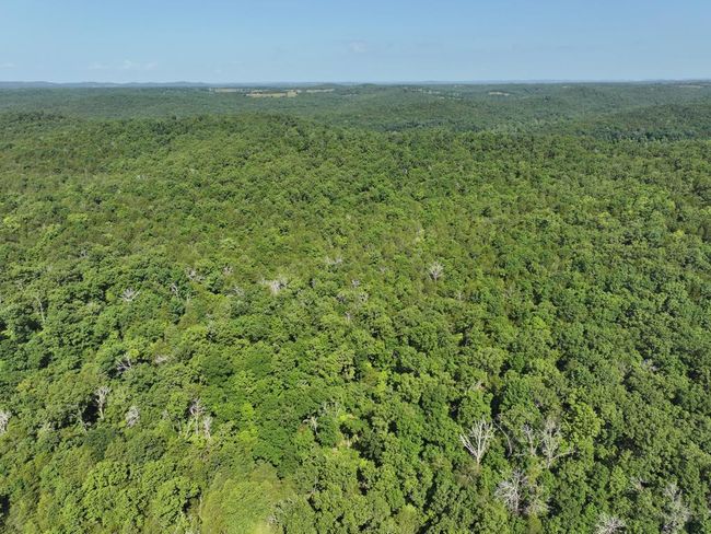dji_fly_20250620_102324_0014_17504331138 | Image 32