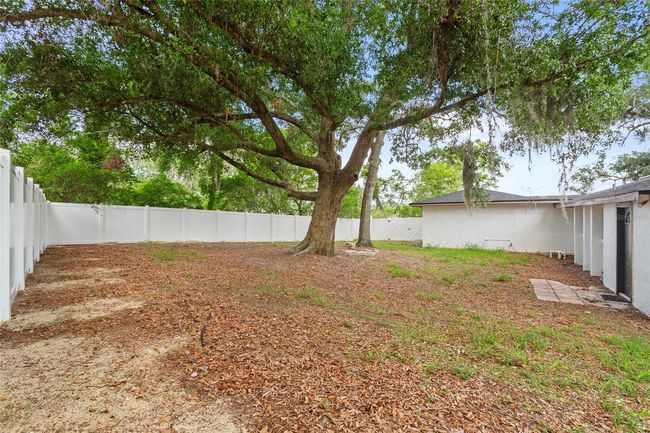 Backyard | Image 38