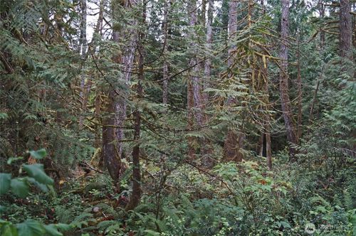 15501 N Us Highway 101, Shelton, WA, 98584 | Card Image