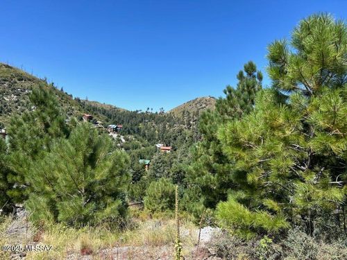 1217-12802 N Ray Avenue, Mt. Lemmon, AZ, 85619 | Card Image