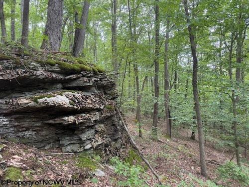 TBD Simpson Rd, Belington, WV, 26250 | Card Image