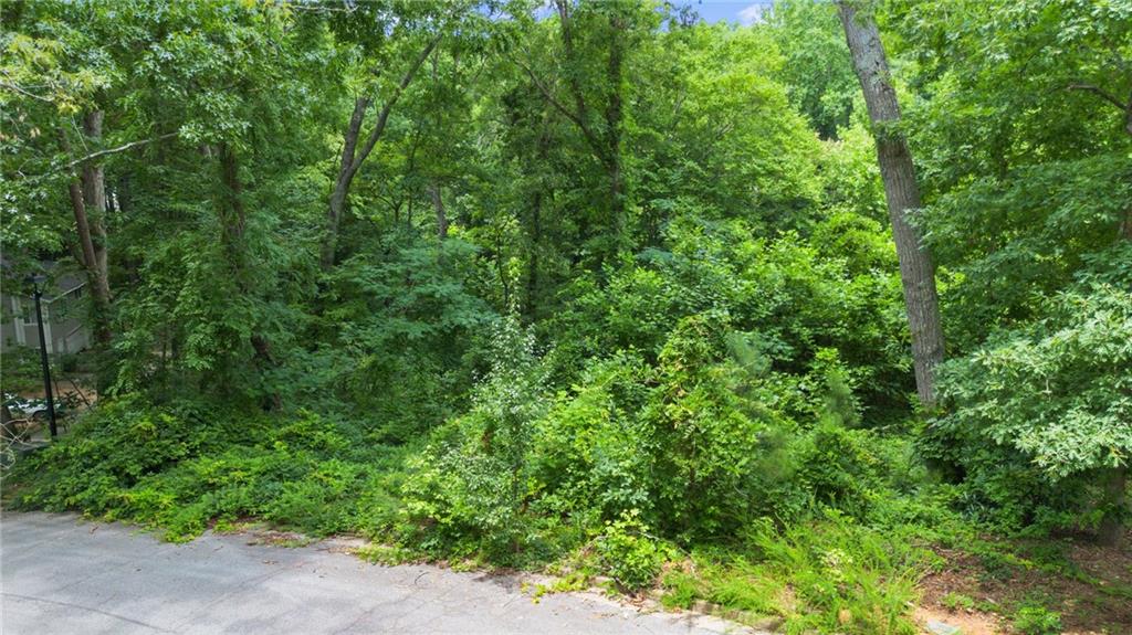 Land in Douglasville 4