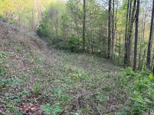 0 Yellow Branch Cem Rd, Robbinsville, NC, 28771 | Card Image