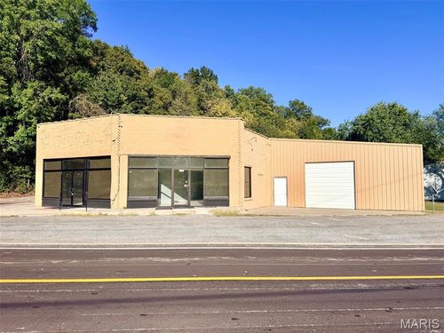 118 County Road 216, Dutchtown, MO, 63740 | Card Image