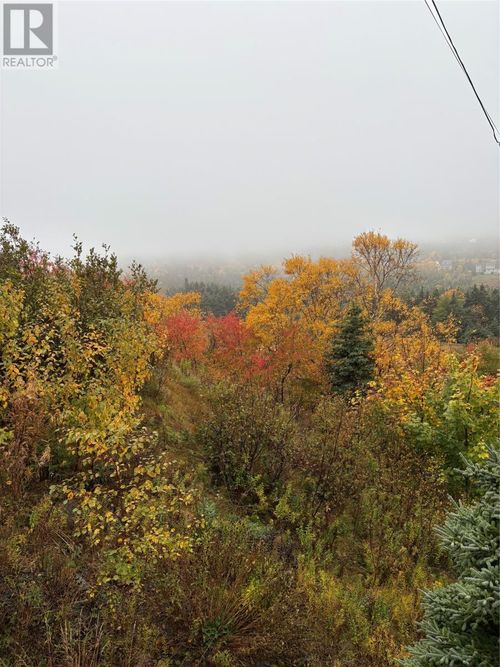 555-559 Marine Dr, Outer Cove, NL, A1K4C1 | Card Image