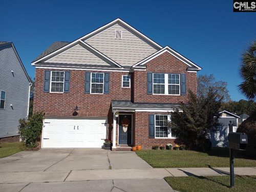 100 Palm St, Chapin, SC, 29036-9183 | Card Image