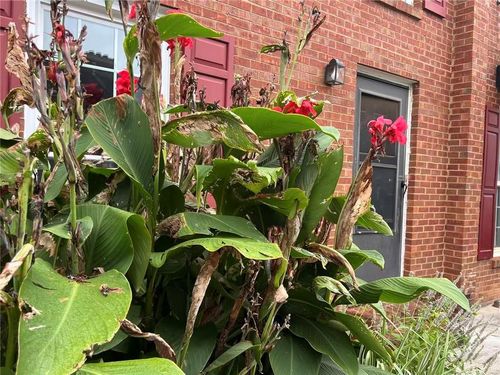 apt-908-1166 Booth Rd Sw, Marietta, GA, 30008-3513 | Card Image