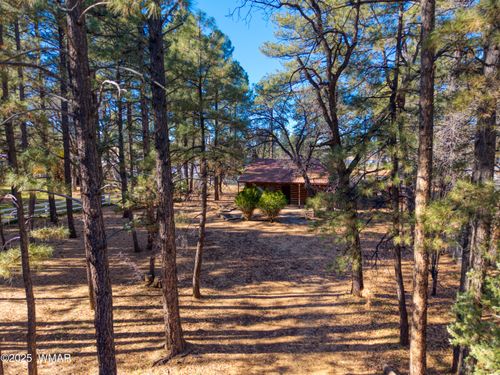 978 Moonridge Drive Drive, Lakeside, AZ, 85929 | Card Image