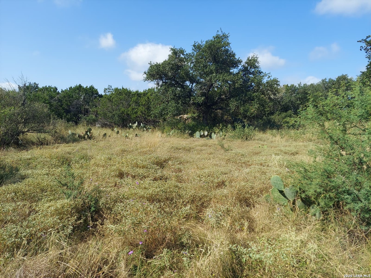Land in New Braunfels 3