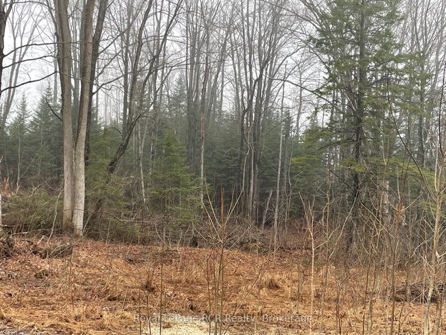 LT 35 Highland Dr, Home with 0 bedrooms, 0 bathrooms and null parking in Markdale ON | Image 15