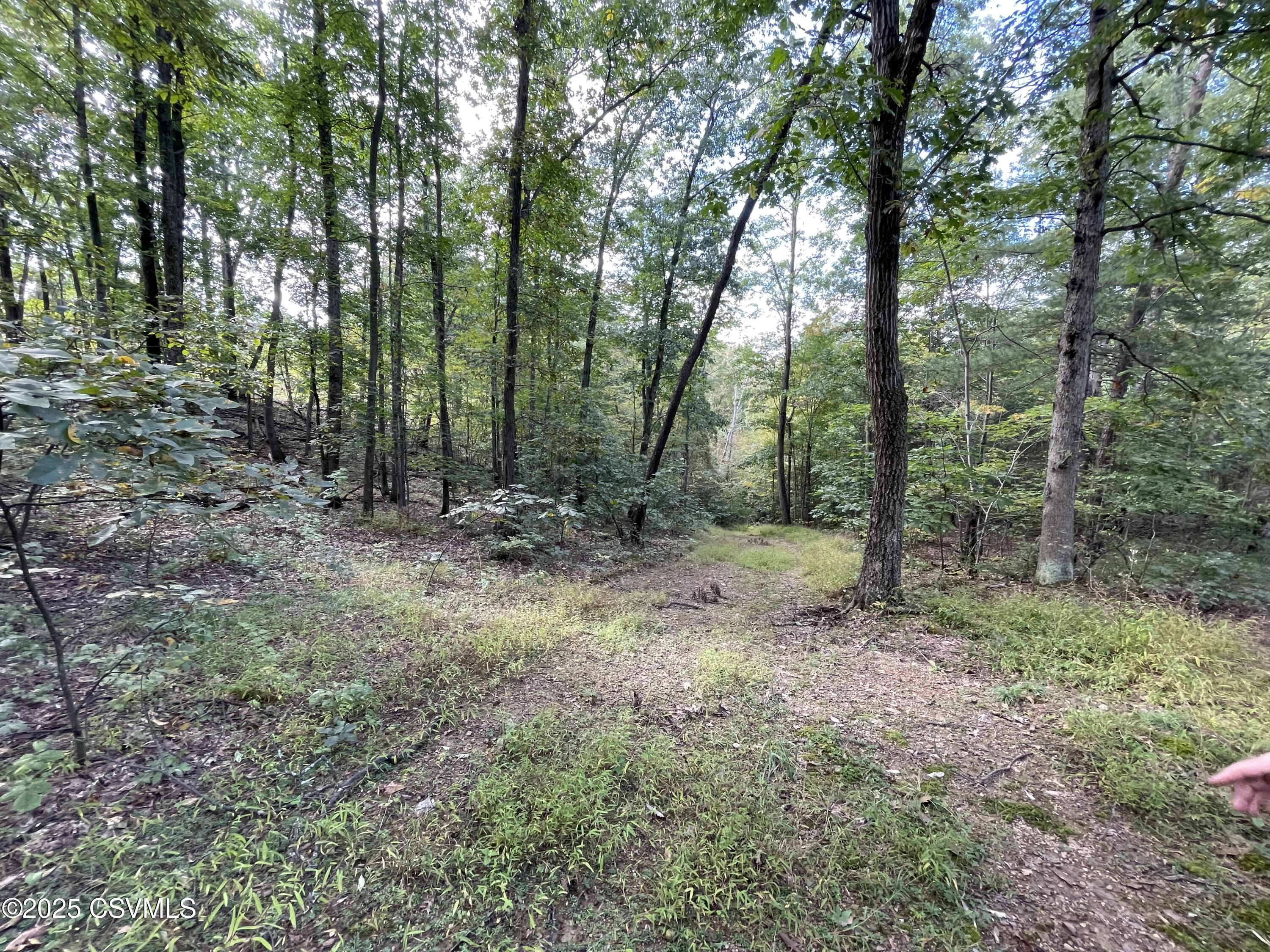 Land in Allenwood 2