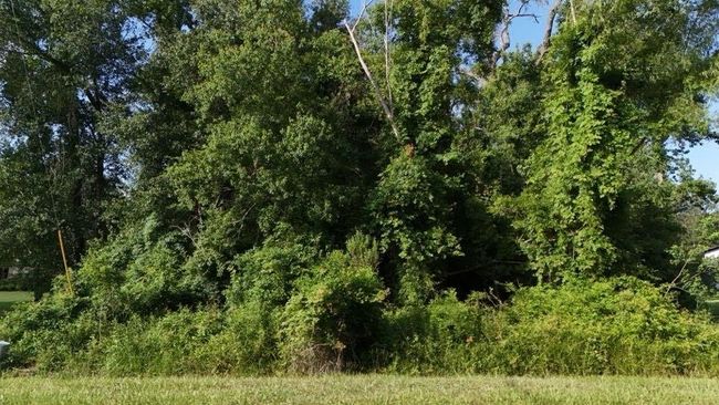 0 Riverview Xing, Home with 0 bedrooms, 0 bathrooms and null parking in Huffman TX | Image 8