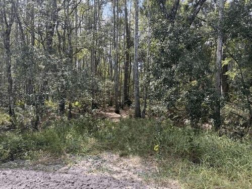 0 County Road 54 E, KATHLEEN, FL, 33849 | Card Image