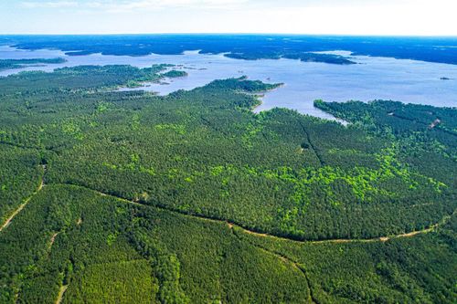 25417 County Road 459, Broaddus, TX, 75929 | Card Image