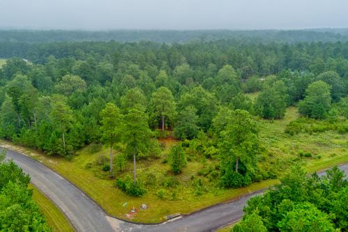 Lot 5 Cooks Pond Rd, Windsor, SC, 29856 | Card Image