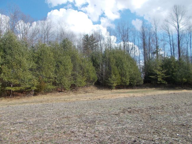 0 N State Highway 7, Home with 0 bedrooms, 0 bathrooms and null parking in Scipio IN | Image 25