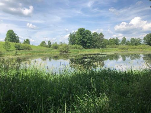 TBD Dixon Line Rd, Finlayson, MN, 55735 | Card Image