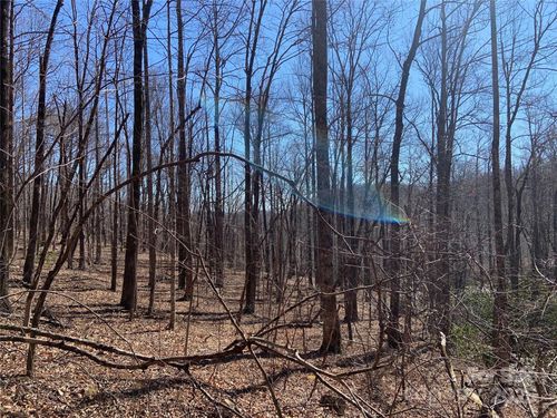 252-TBD Glen Ridge Trail, Lake Lure, NC, 28746 | Card Image