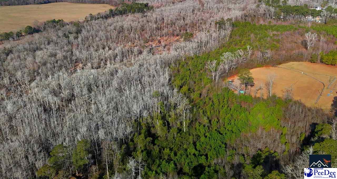 Land in Dillon 3