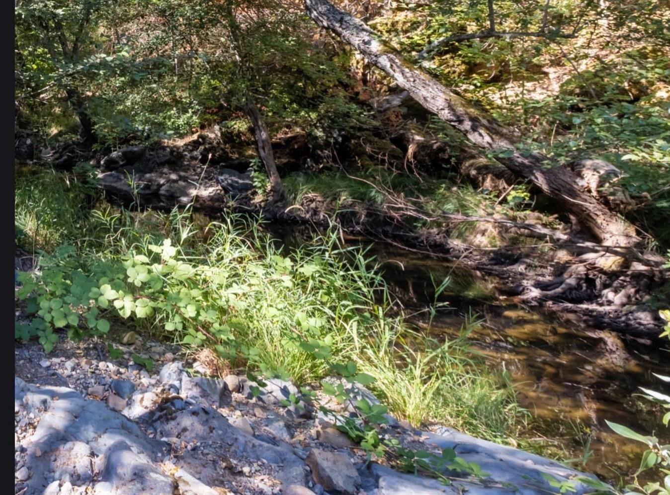 Land in Grass Valley 4