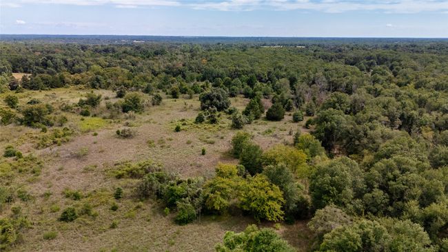 Birds eye view of property | Image 22