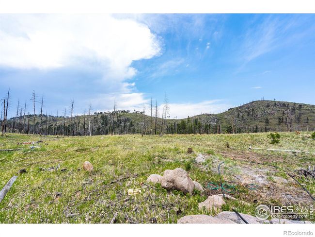 2384 Rist Creek Rd, Home with 0 bedrooms, 0 bathrooms and null parking in Bellvue CO | Image 28