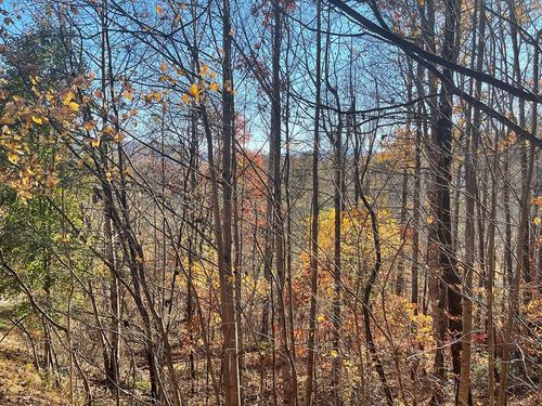 Lot 41C Ash Branch Cir, Hayesville, NC, 28904 | Card Image