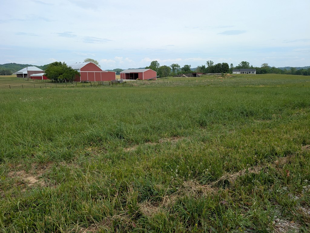 Land in Burkesville 2