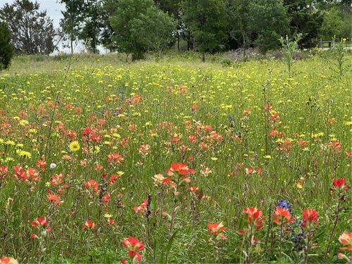 153 Suzanne Dr, Moody, TX, 76557-4012 | Card Image