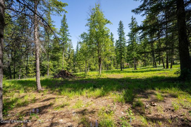 238 Black Sheep Rd, Home with 0 bedrooms, 0 bathrooms and null parking in Hope ID | Image 44
