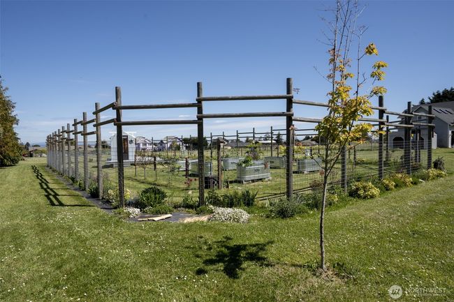 Completely fenced garden | Image 28