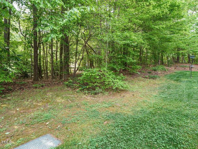 028-1280x960-back-yard | Image 28