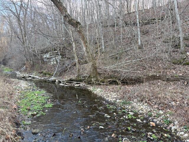 Land in Highlandville 4