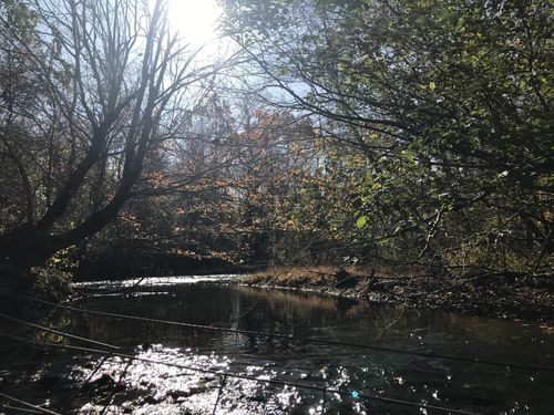 0 Old Weatherford Creek Rd, Lutts, TN, 38471 | Card Image