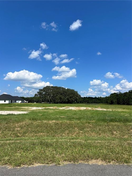 20276 Shoreline Ranch Ln, UMATILLA, FL, 32784-9436 | Card Image