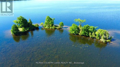 Lt 1 Island, Kawartha Lakes (Carden), ON, K0M2B0 | Card Image
