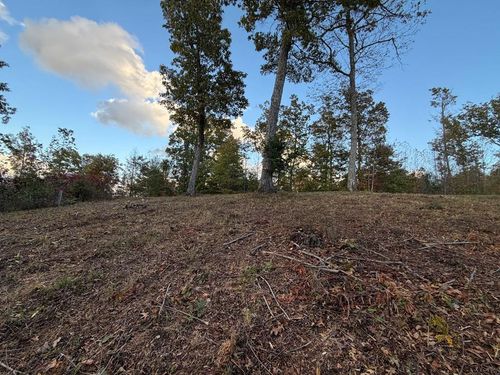 Lot 29 Paw Paw Trl, Murphy, NC, 28906-2472 | Card Image