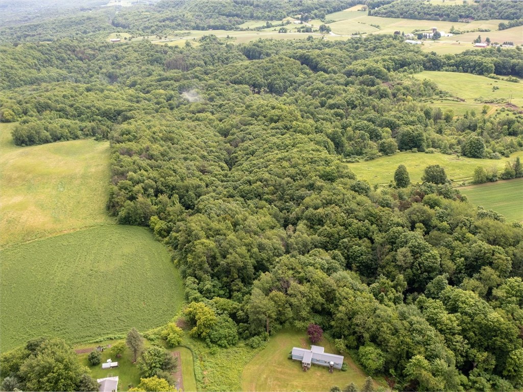 Eelpot Rd, Naples, NY 14512