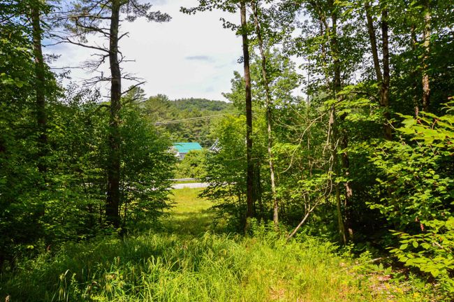 LOT-3 - 00 Vt Route 103 N, Home with 0 bedrooms, 0 bathrooms and null parking in Chester VT | Image 29