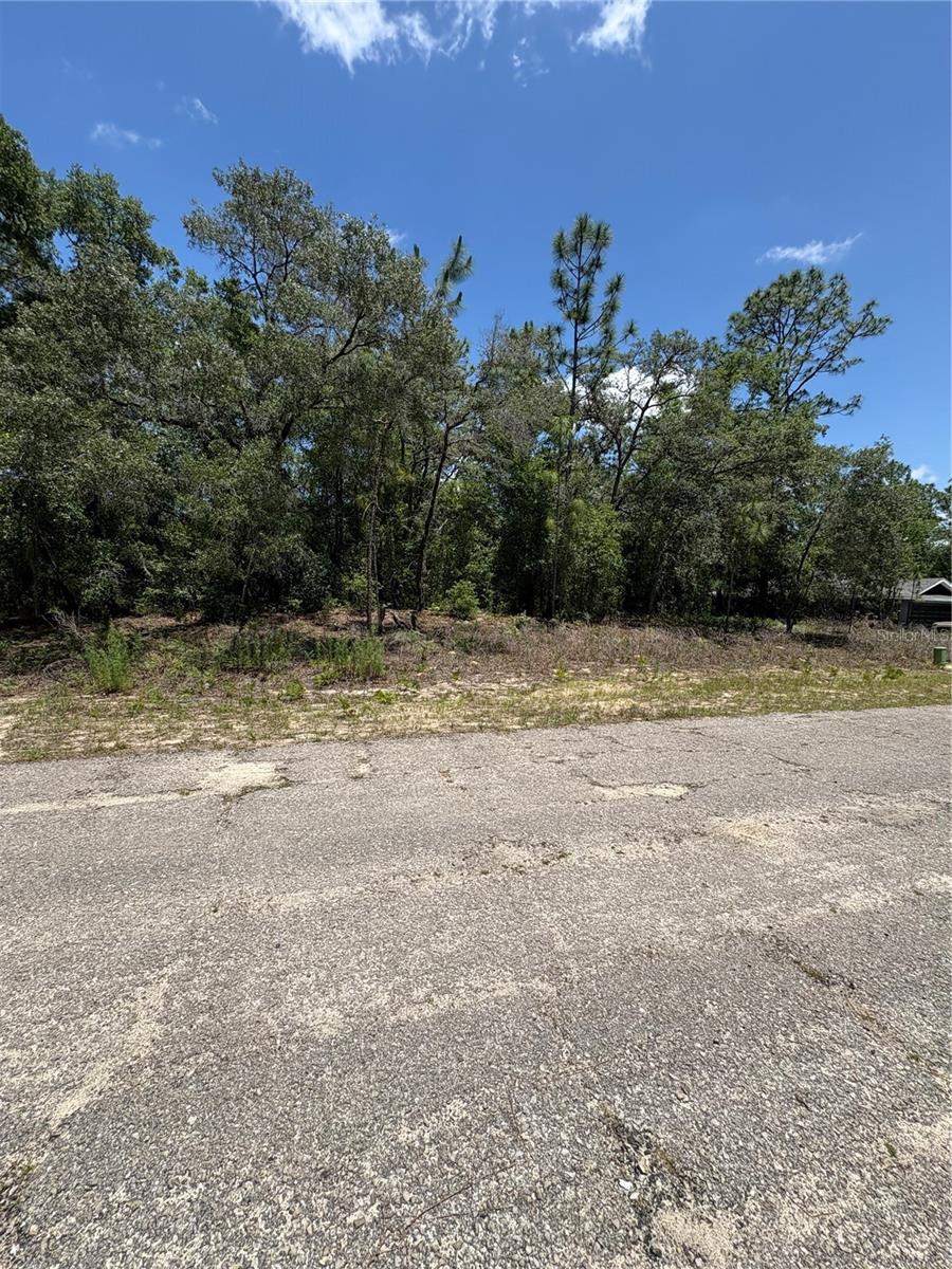Land in CITRUS SPRINGS 3
