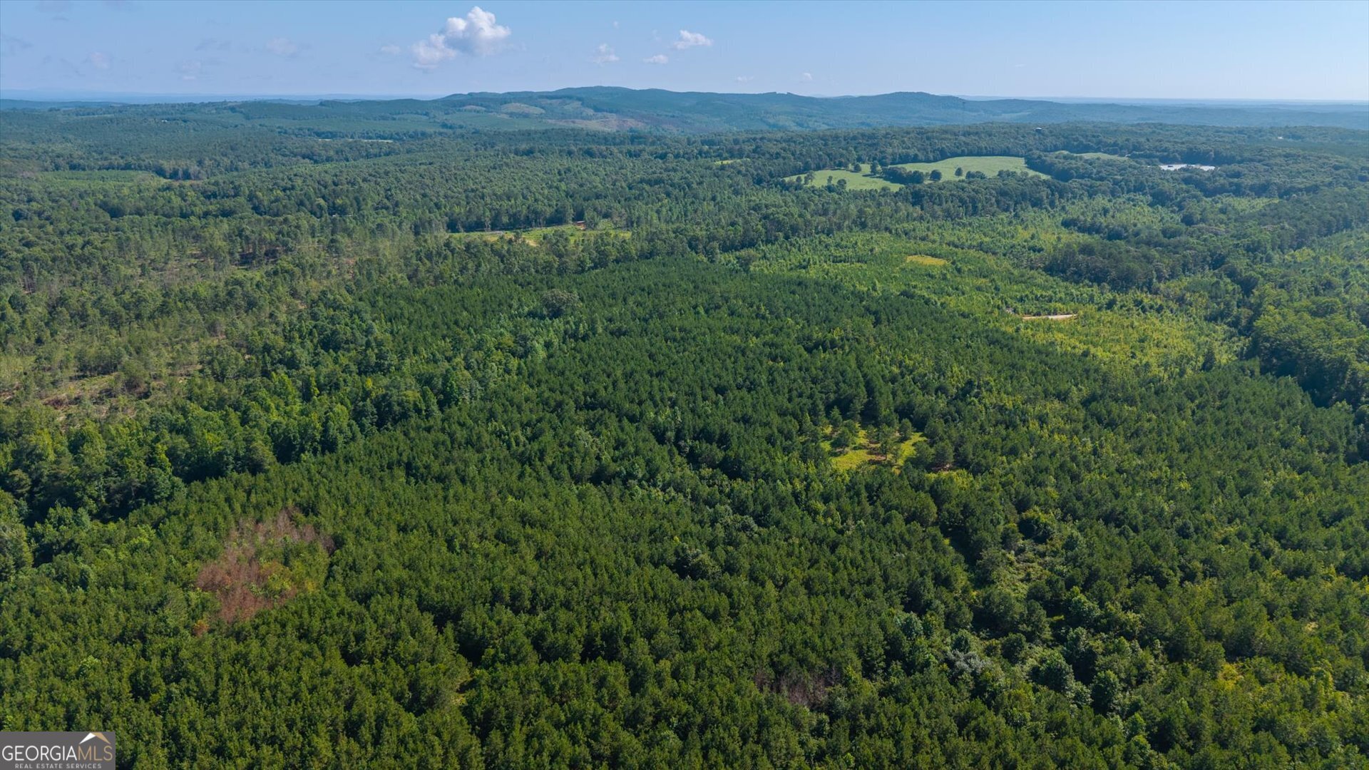 Land in Heflin 4