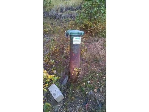 185 Columbine Dr, Idaho Springs, CO, 80452-9524 | Card Image