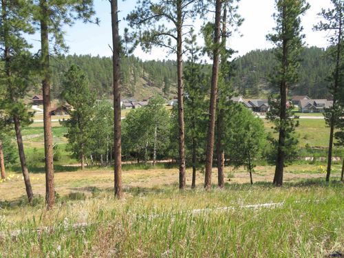 tbd-lakewood-court-Blk 7 Lot 8 Other, Hill City, SD, 57745 | Card Image