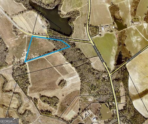 0 Ga Highway 298, Vidalia, GA, 30474 | Card Image